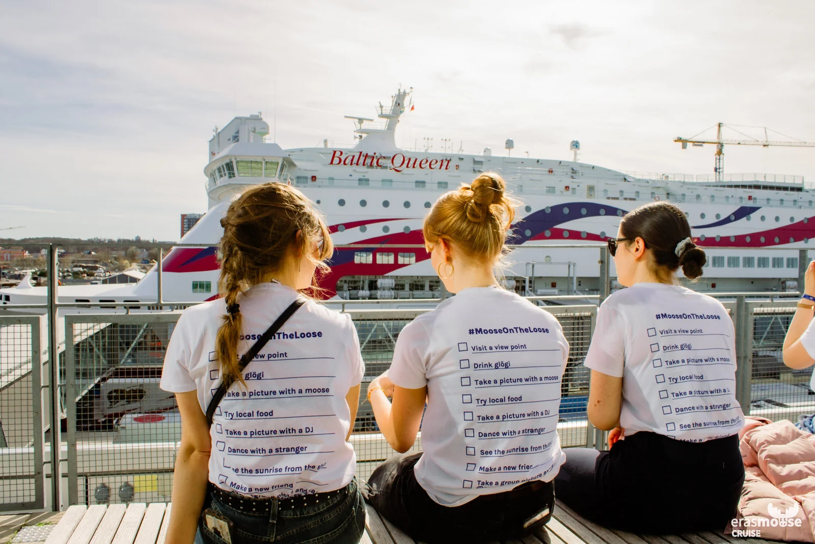 Erasmoose Cruise